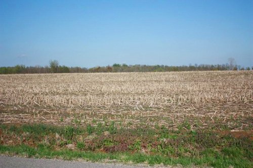 Property photo 10 - 641 Acres Offered in 16 Tracts - 545 Cropland Acres